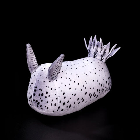 Sea Bunny Nudibranch