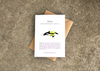 Natasha Van Netten greeting cards