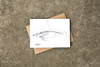 Natasha Van Netten greeting cards