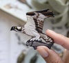 Bird Collective Patches