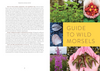 Pacific Harvest: A Northwest Coast Foraging Guide