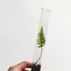 June & December Pencil Terrarium