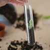 June & December Pencil Terrarium