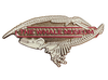 The Whale Museum Pin