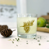 Bough & Antler cocktail glasses