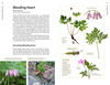 Medicinal Plants of the Pacific Northwest