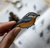 Bird Collective Patches