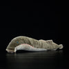 Sea Lamprey