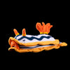 Magnificent Sea Slug