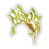 Yardia Stickers