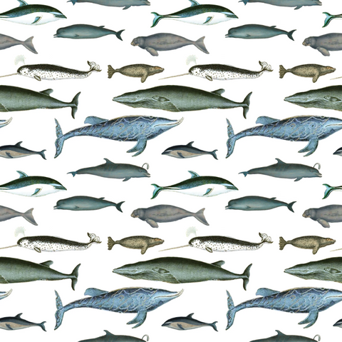 Fairhope Graphics Gift Wrap