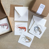 Yeesan Loh Mini Cards Set