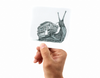 Slow Loris Stickers