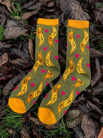 Owl & Bear Socks
