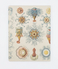 Cognitive Surplus Notebooks