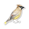 Yardia Stickers