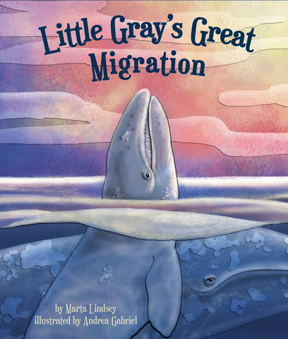 Little Gray's Great Migration