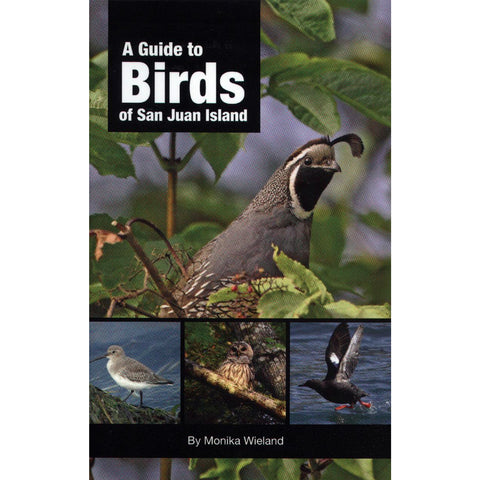 A Guide To Birds Of Sji
