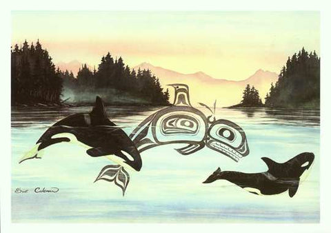 Sue Coleman: Killer Whales  2 x 3 Magnet