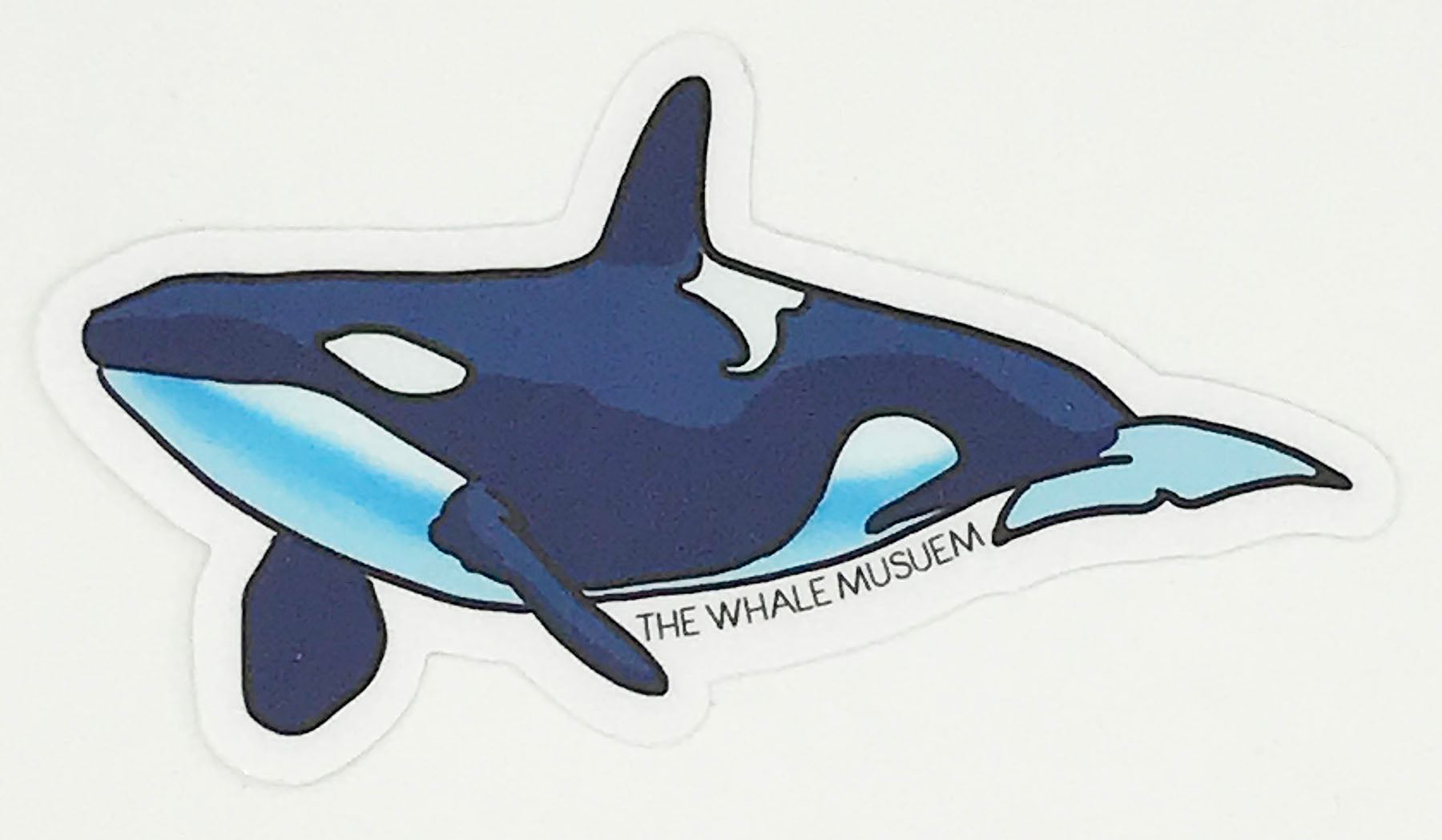 Orca The Whale Museum Sticker