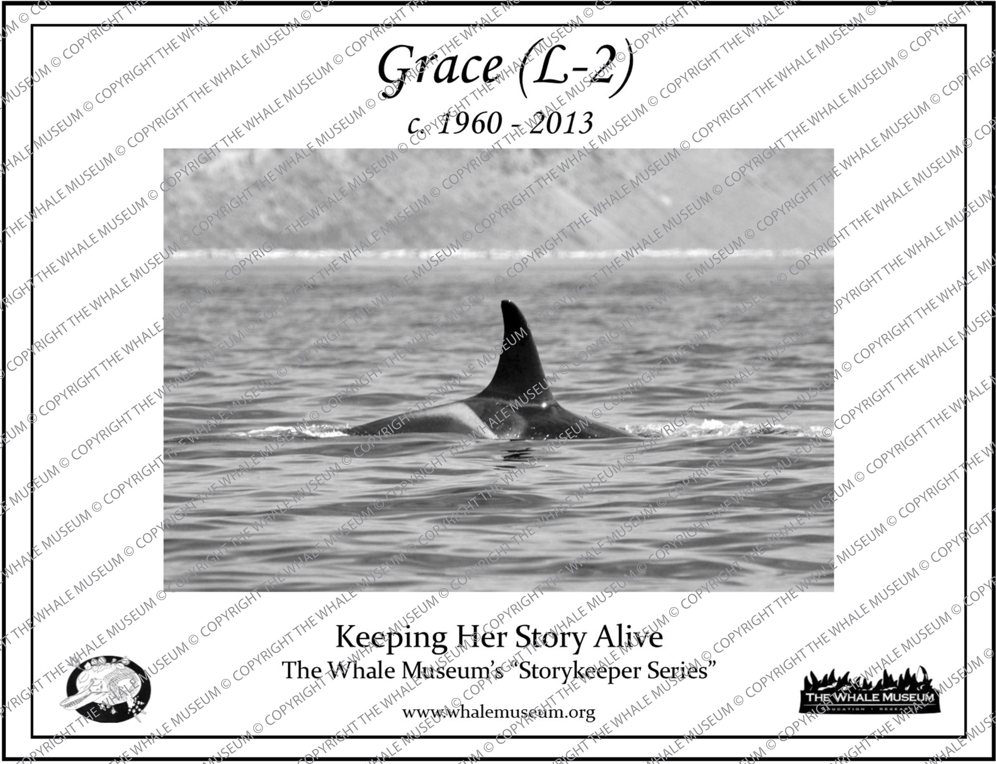 Grace (L-2) Storykeeper