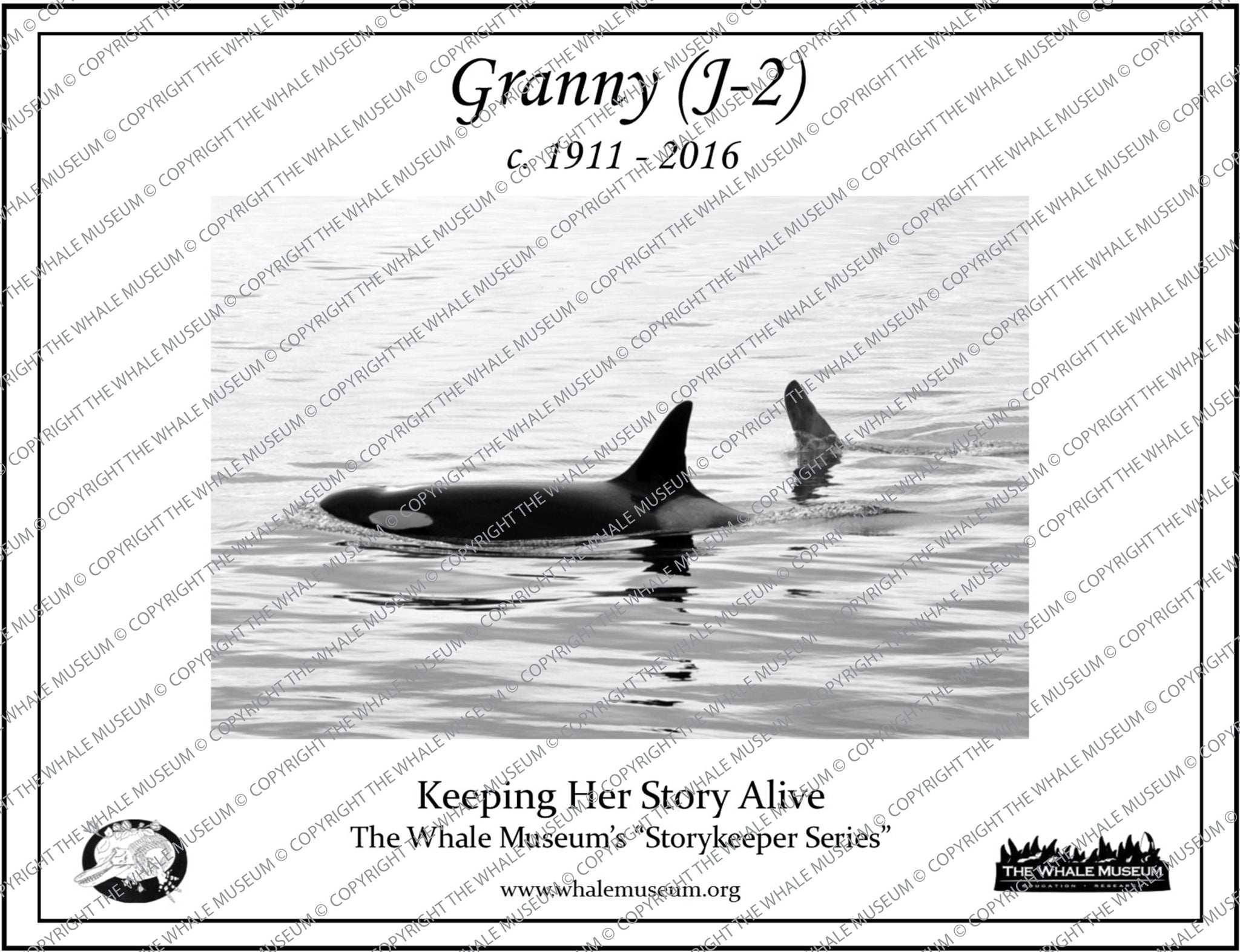 Granny (J-2) Storykeeper