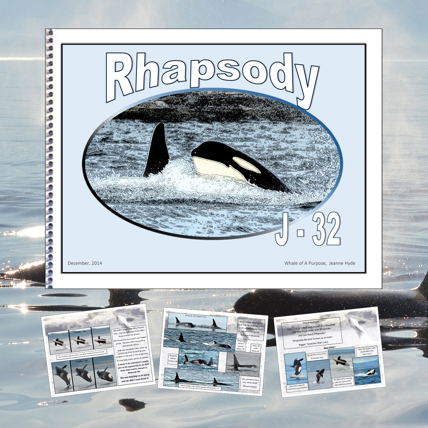 A Glimpse Memory of Rhapsody (J-32)