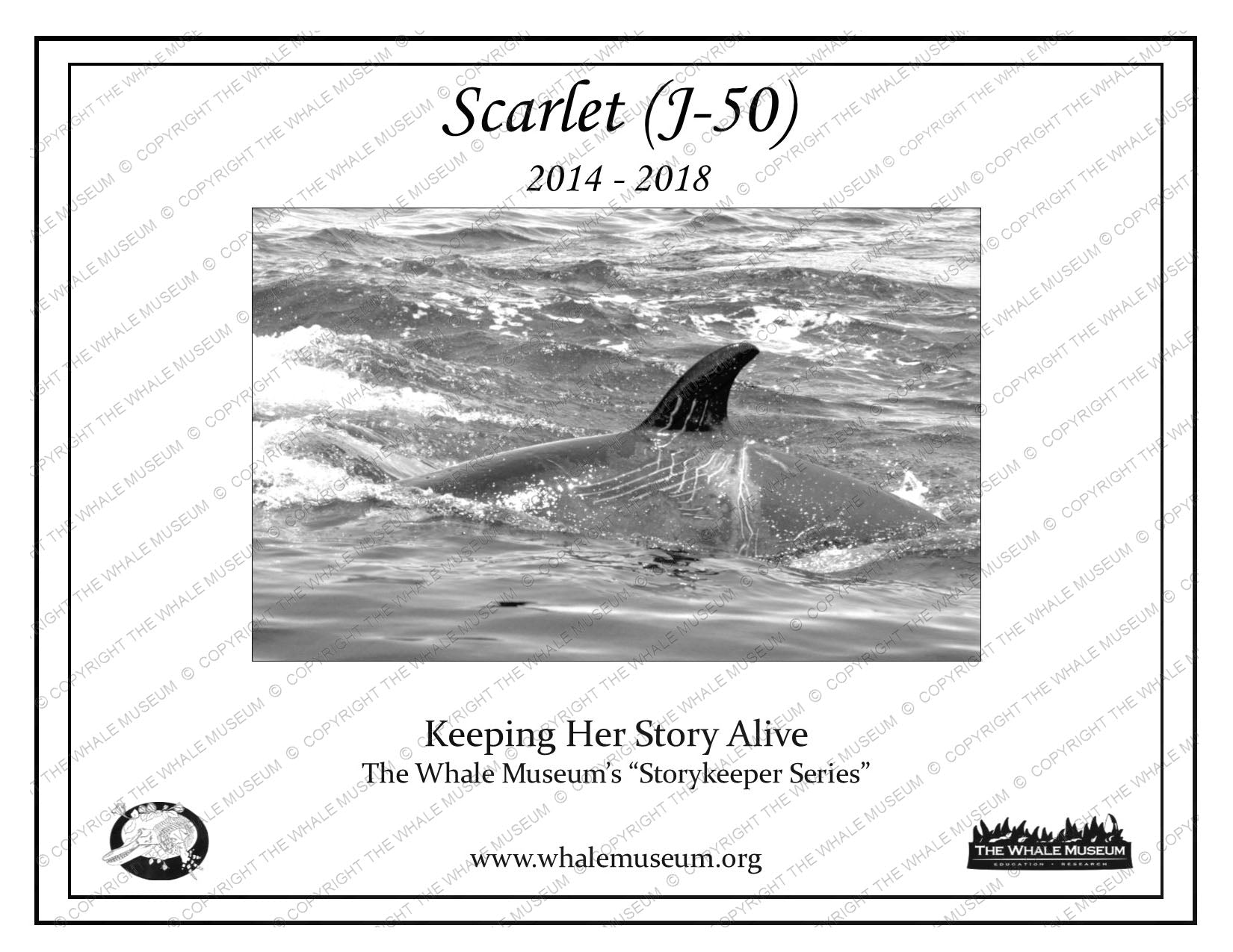Scarlet (J-50) Storykeeper