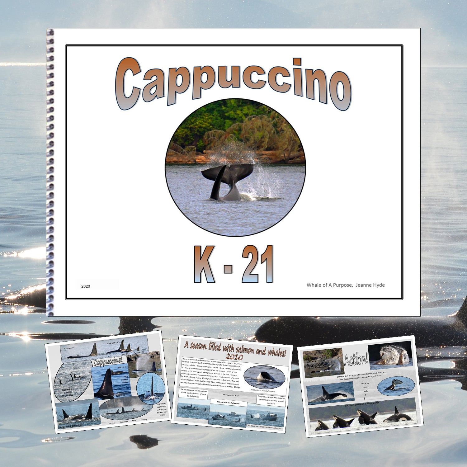 A Glimpse Into the Life of Cappuccino (K-21)