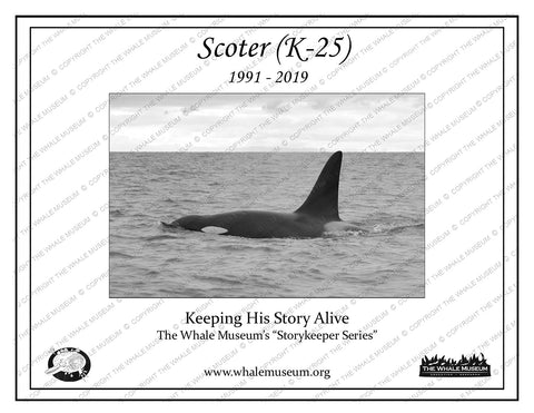 Scoter (K-25) Storykeeper