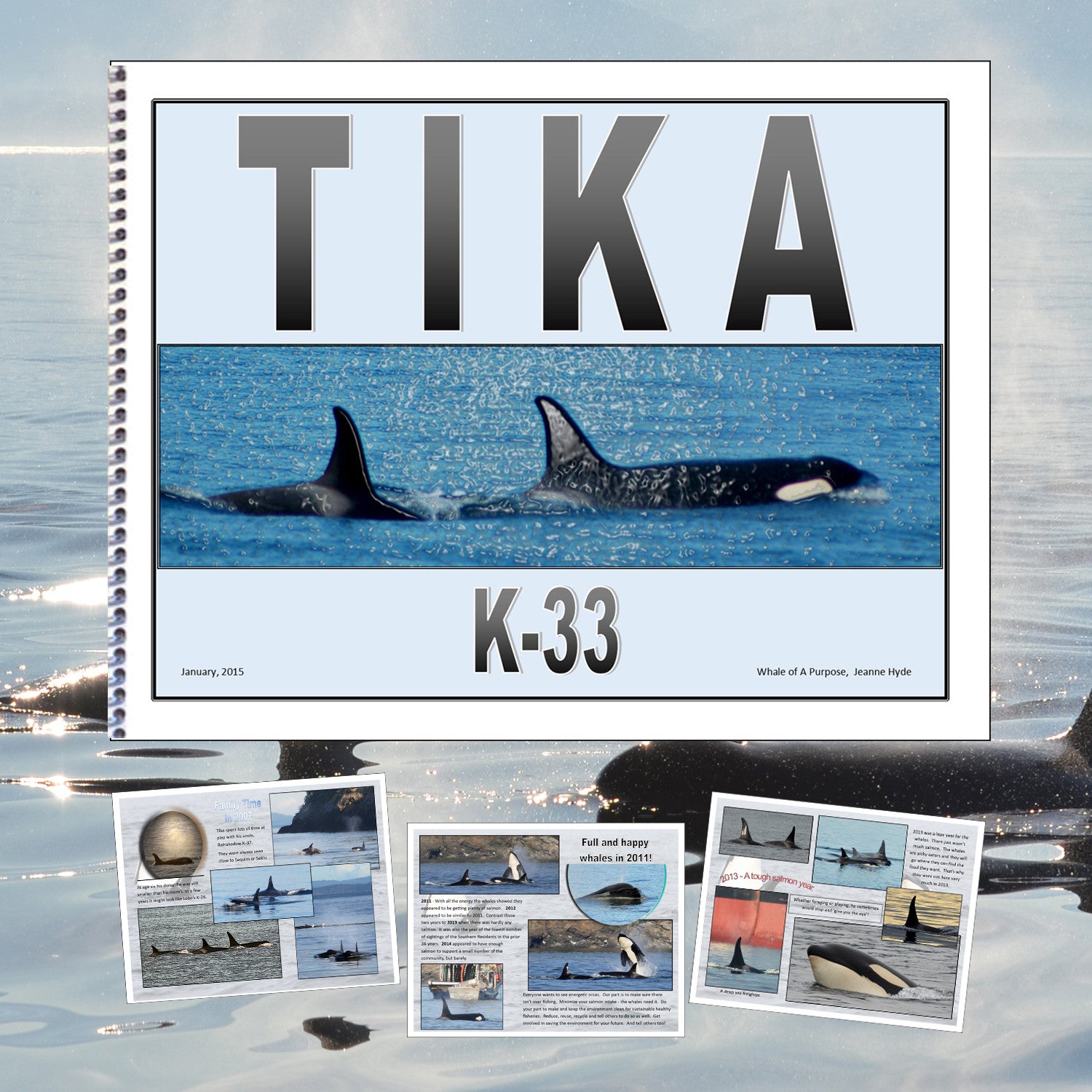 A Glimpse Into the Life of Tika  (K-33)