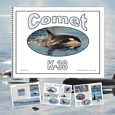 A Glimpse into the Life of Comet (K-38)