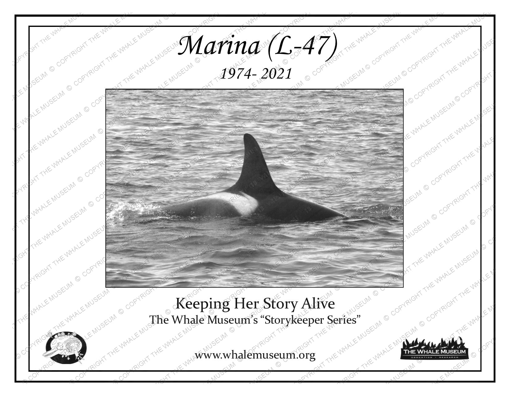 Marina (L-47) Storykeeper