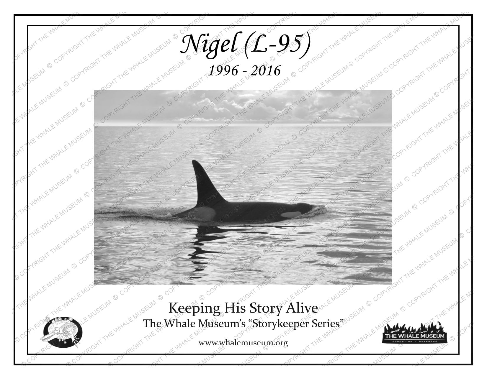 Nigel (L-95) Storykeeper