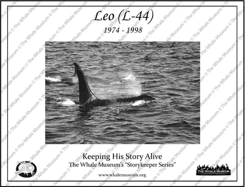 Leo (L-44) Storykeeper