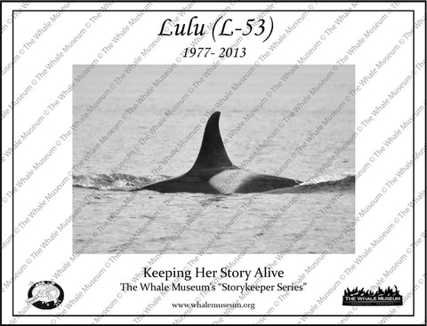 Lulu (L-53) Storykeeper