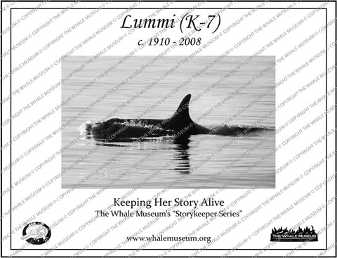 Lummi (K-7) Storykeeper