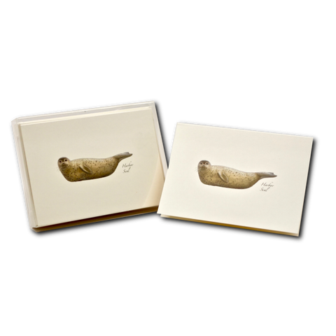 Illustrated Boxed Note Cards