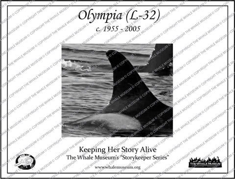 Olympia (L-32) Storykeeper