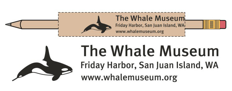 The Whale Museum Pencil