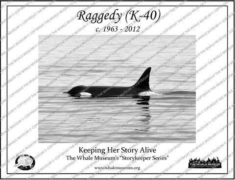 Raggedy (K-40) Storykeeper
