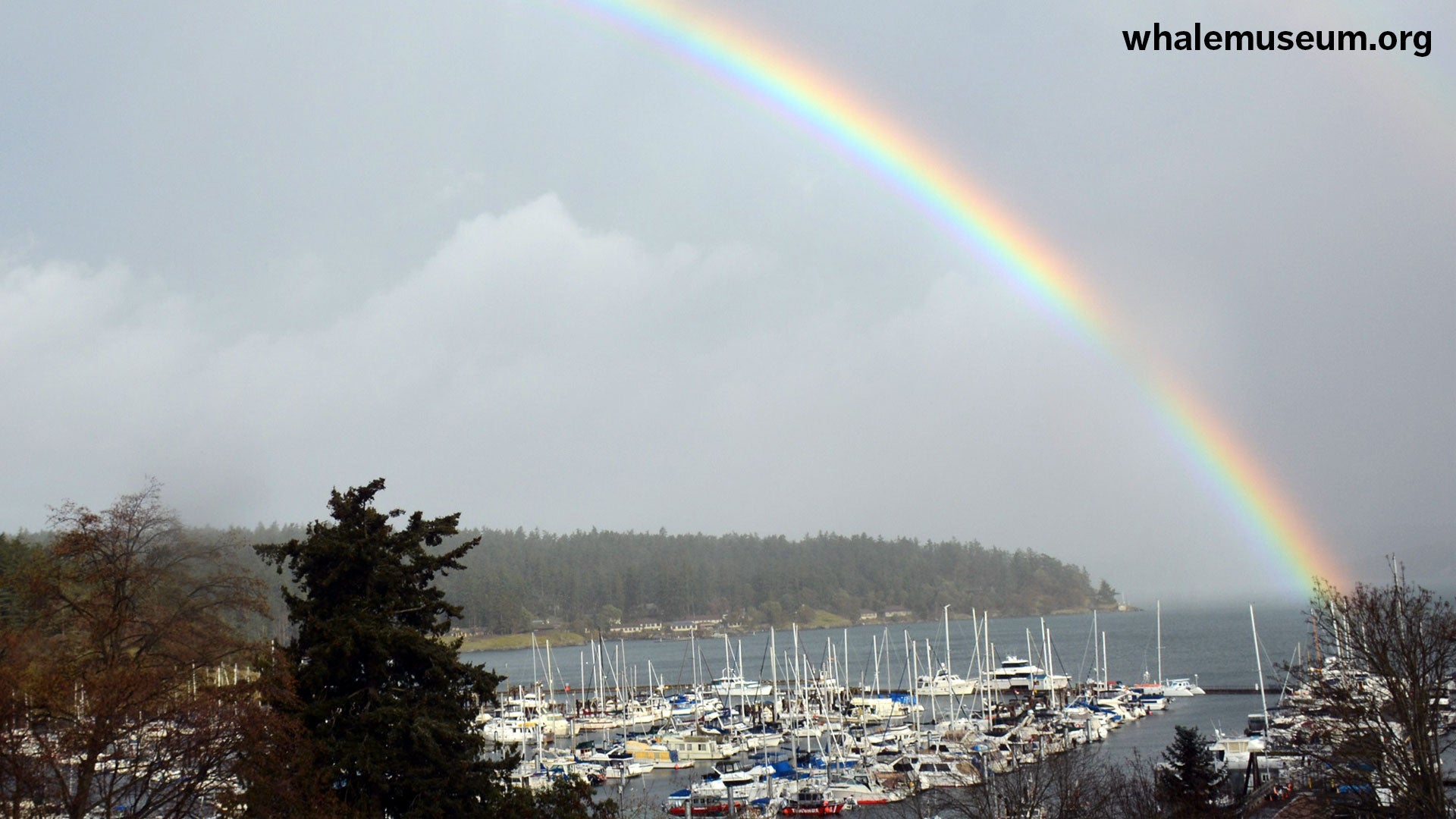 Rainbow Over Friday Harbor Background