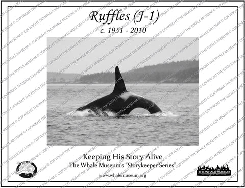 Ruffles (J-1) Storykeeper