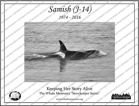 Samish (J-14) Storykeeper