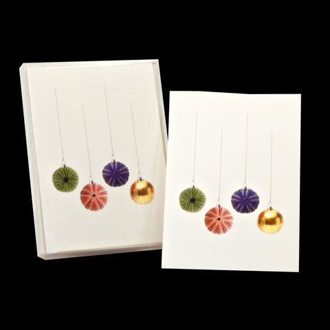 Sea Urchin Christmas Note Cards