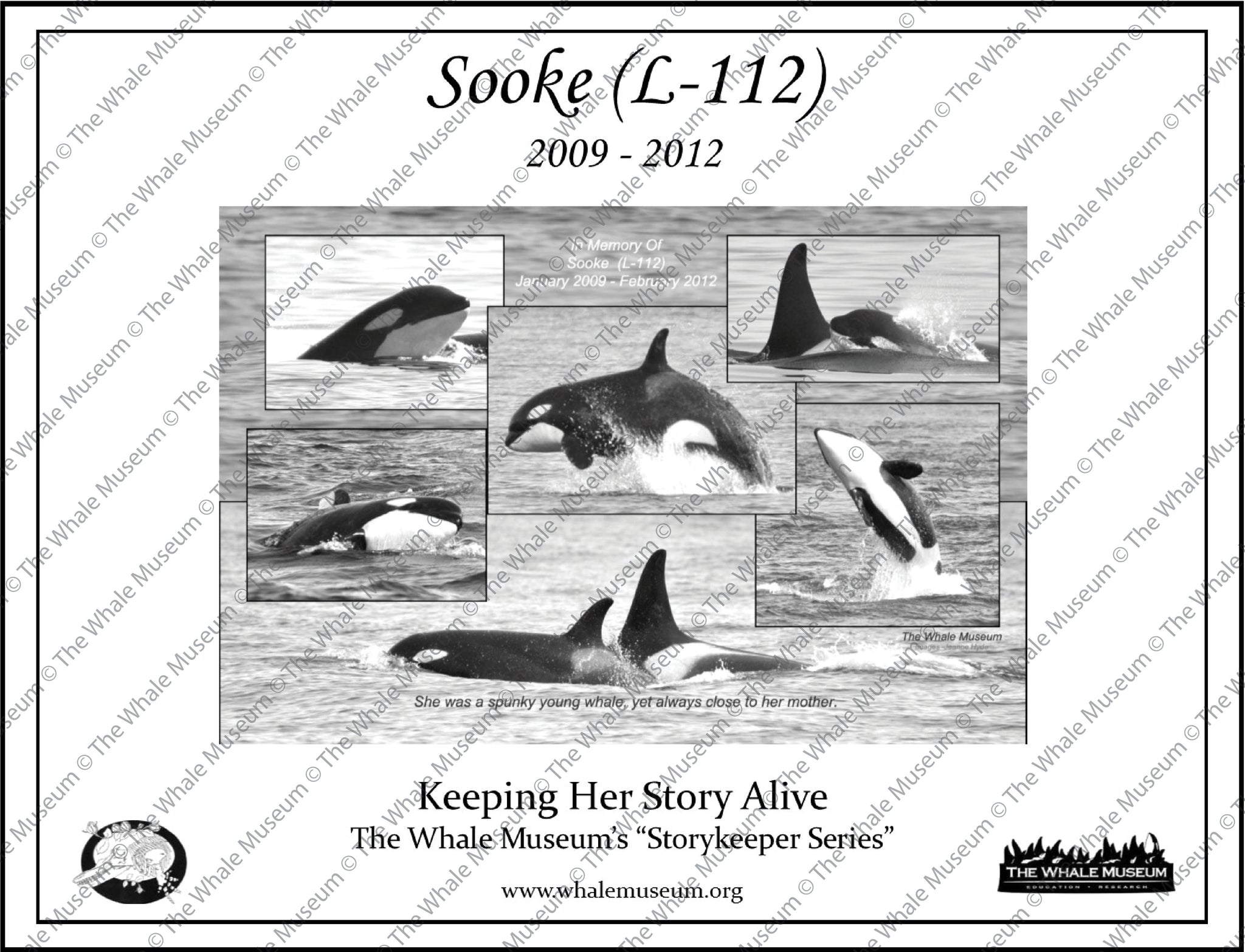 Sooke (L-112) Storykeeper