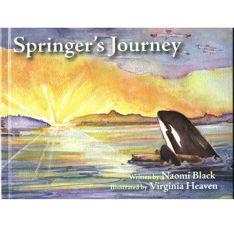 Springer's Journey