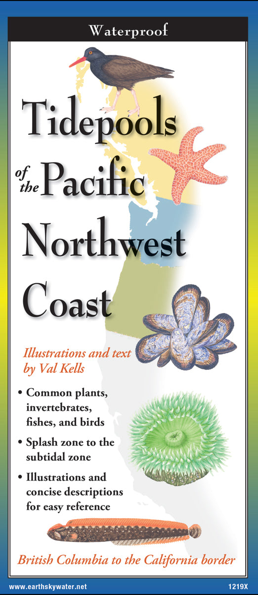Tidepools of the Pacific Northwest Coast