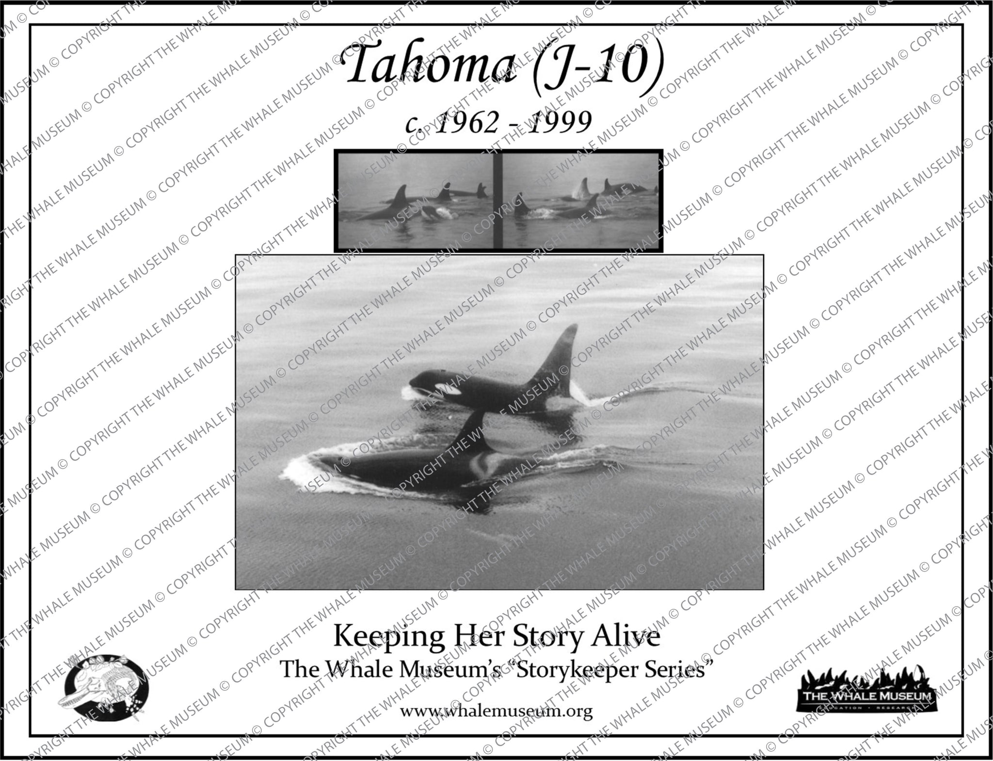 Tahoma (J-10) Storykeeper