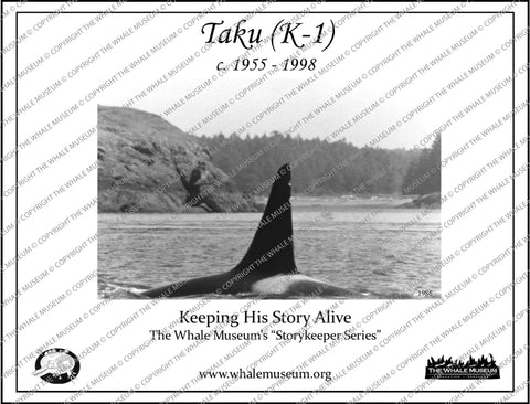 Taku (K-1) Storykeeper